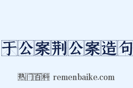 于公案荆公案造句是什么意思的图片